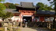09-Nara (23)